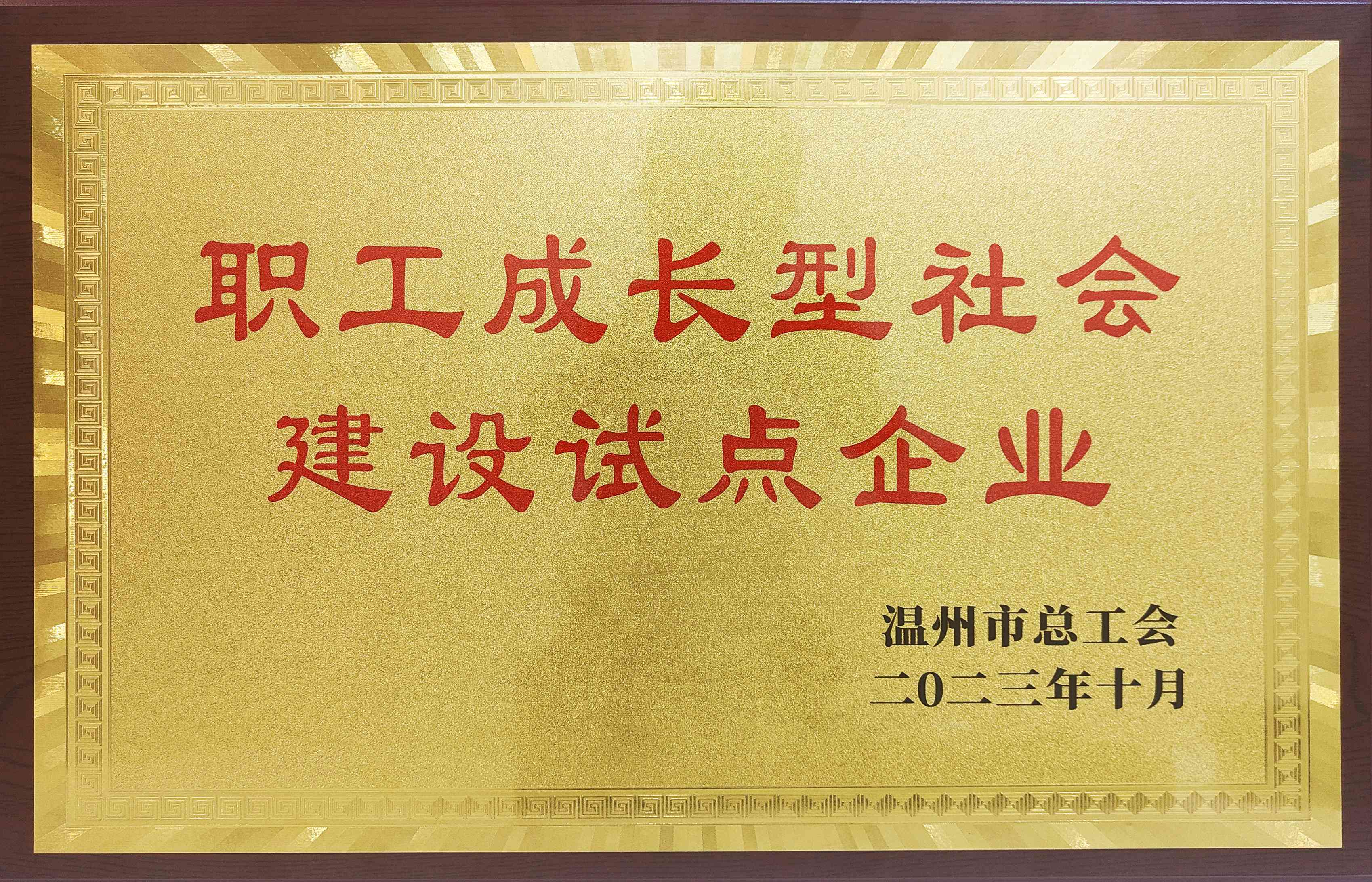 “温州市职工成长型社会建设试点企业”花落泰昌